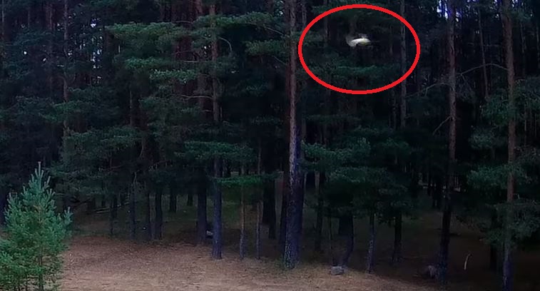 UFO180.jpg